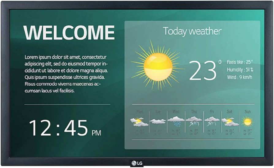 Moniteur LG 22SM3G-B 22" FHD IPS avec Wi-Fi et HDMI