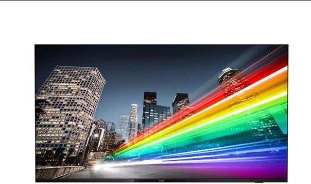 PHILIPS 55BDL4511D/27 55" UHD Pro TV with Pro:Idiom and Android TV