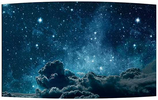 Moniteur OLED grand format LG 55EF5F-L 55 pouces, 1080p, HDMI/DP/USB