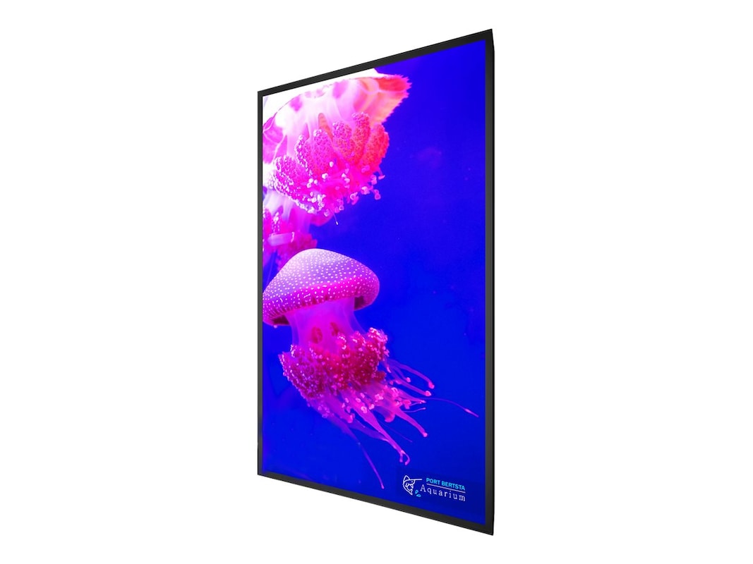 Écran LCD UHD 75 pouces PLANAR URX75-ERO avec verre ERO et haut-parleurs