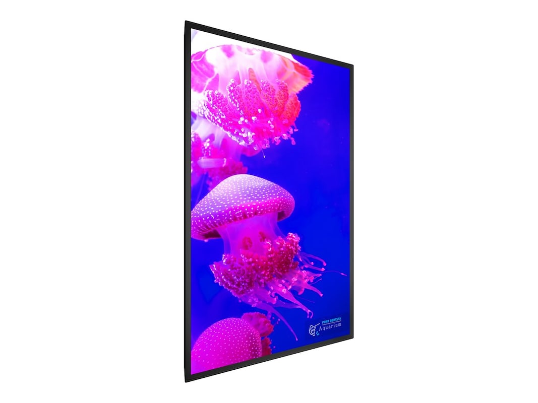 Écran tactile UHD Planar URX85-ERO-T UltraRes X 85 pouces