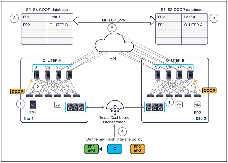 Appliance virtuelle multisite Cisco ACI