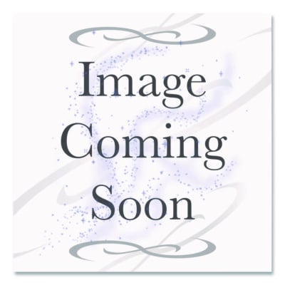 Licence APC InfraStruXure Central 500 nœuds uniquement