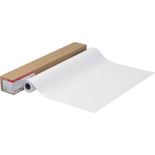 Rouleau de papier bond Canon 20 lb, 24 po x 150 pi (CAN-3871V281)