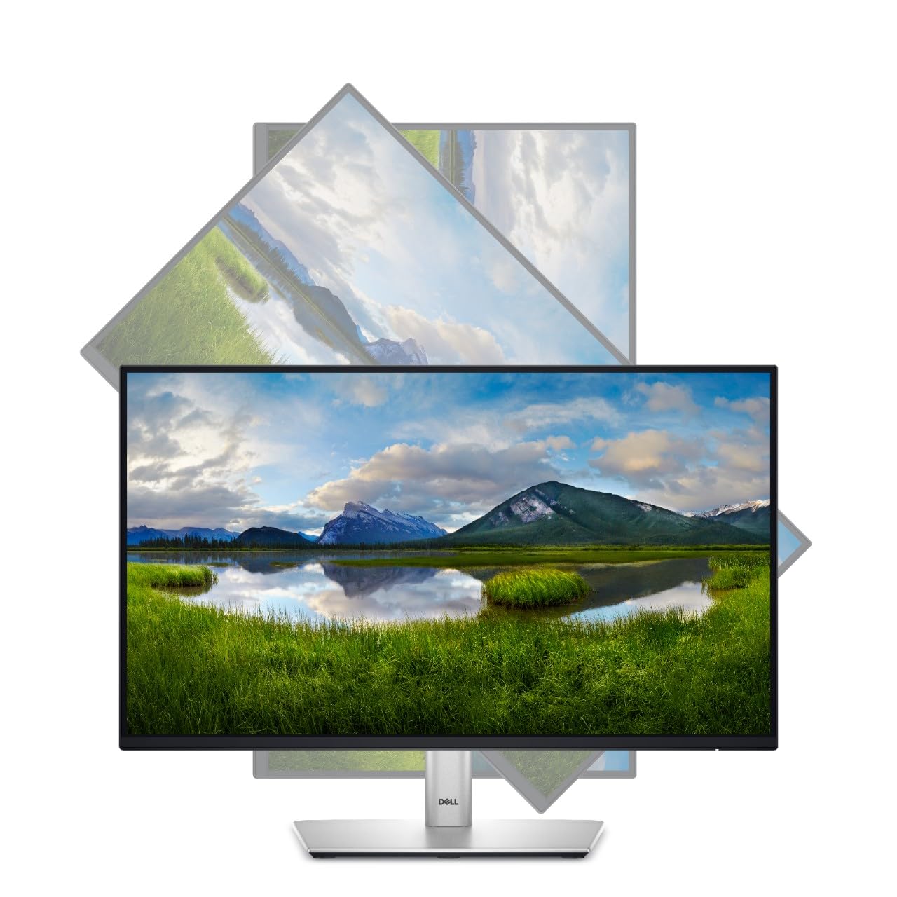 DELL 24 Monitor - P2425, WUXGA IPS, 100Hz, Height Adjustable
