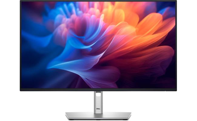 Écran DELL 24 pouces - P2425H, Full HD IPS, 100 Hz, support réglable