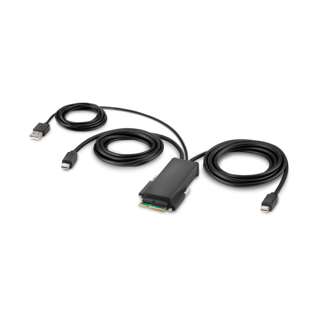 Belkin TAA-Compliant Mini DisplayPort to DisplayPort Cable, 6ft