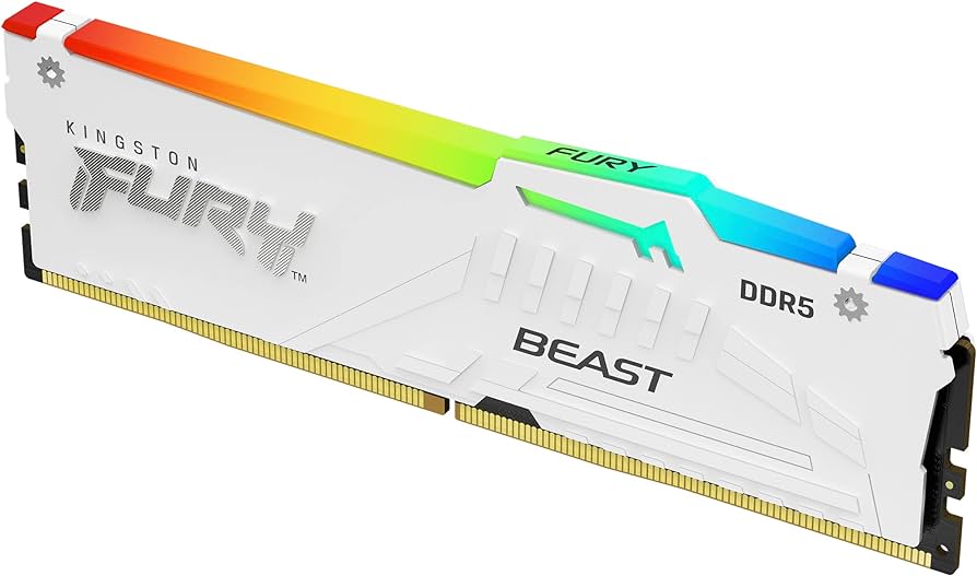 Kingston Fury Beast 64 Go (2 x 32 Go) DDR5 5 600 MT/s CL36 Blanc EXPO
