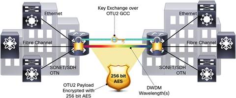 Licence CISCO NCS 2K MSTP Any-Rate XP/MXP OTU2 Regen e-Delivery