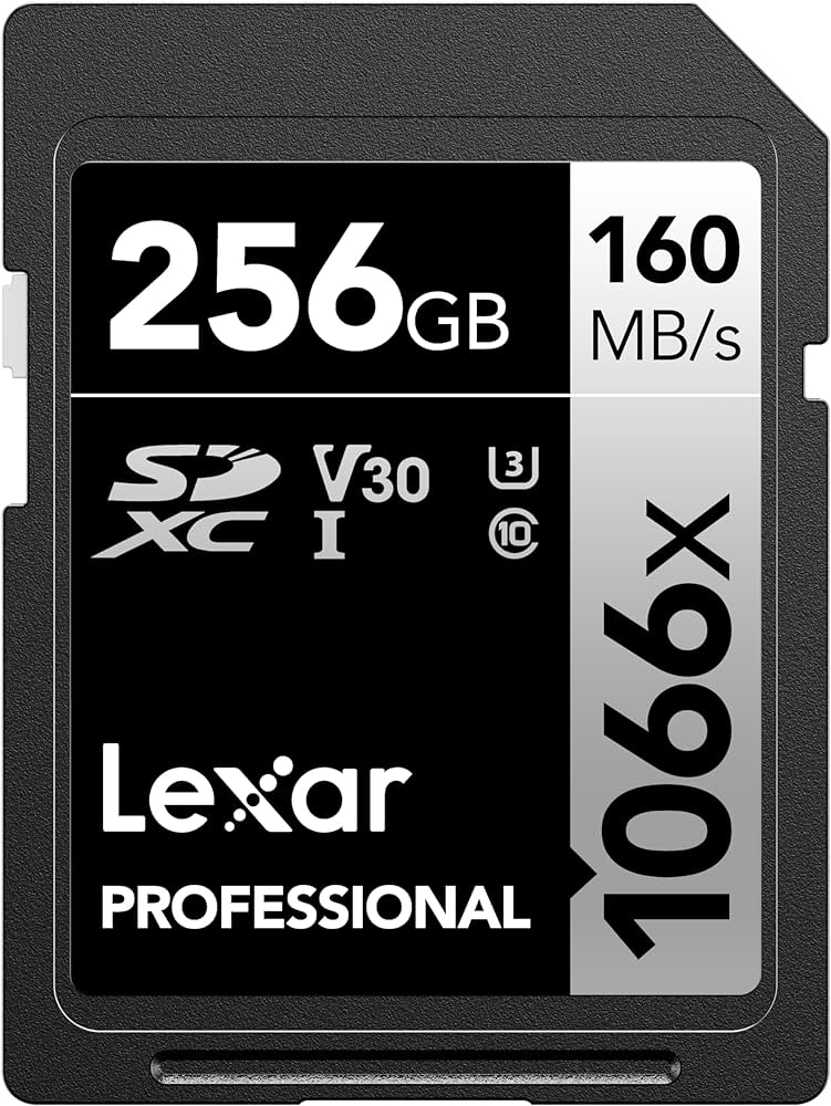 Carte mémoire LEXAR Professional 1066x SDXC 256 Go Classe 10 UHS-I U3