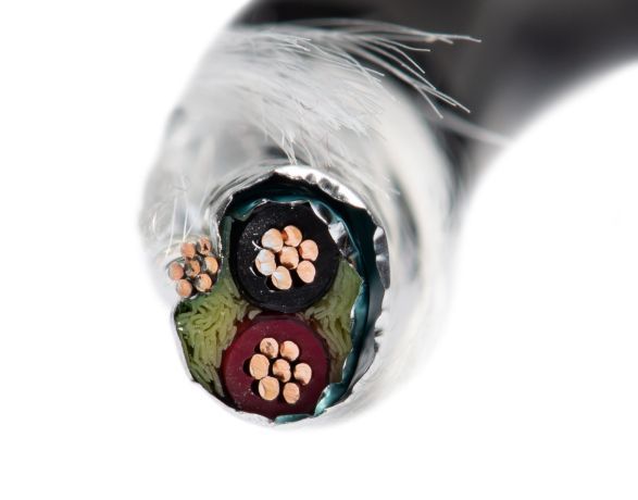 Rallonge de câble APC 32 5 fils #10 AWG, UL avec L21-20R/P