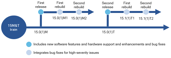 Cisco Software Image PSIRT Extension, 90-Day License