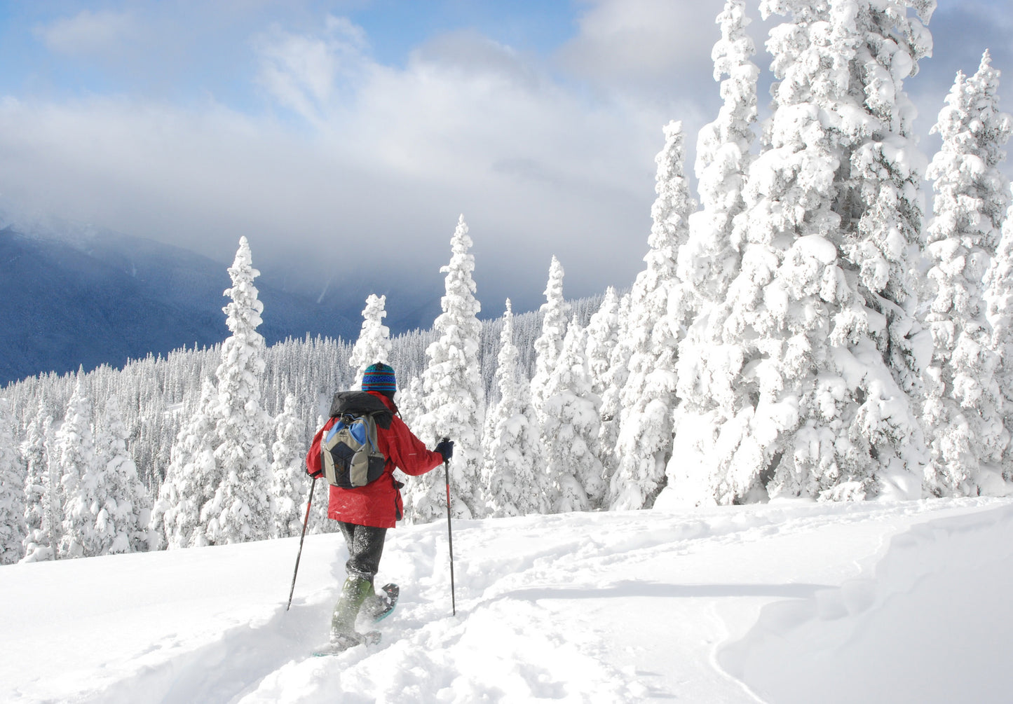 Étui moulé personnalisé CYCLONE DELL 11 3100 2-en-1