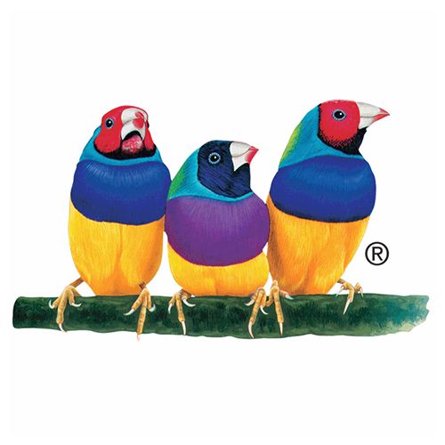 ViewSonic VB-EBL-002 Laptop/Keyboard Tray for e-Box Stand, Black