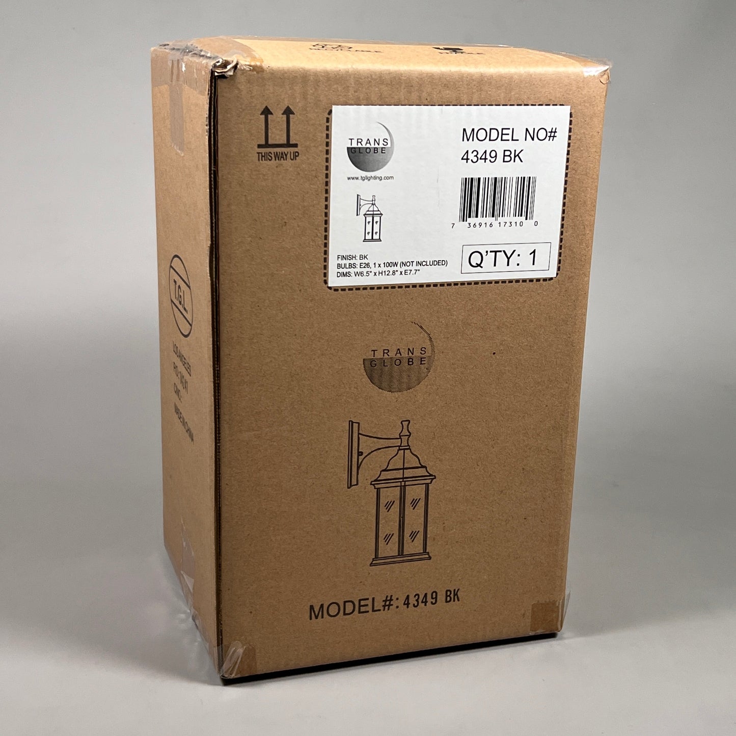 TRANS GLOBE Outdoor Lighting Fixture 4349 BK 6.5 x 12.8 x 7.7in (New)