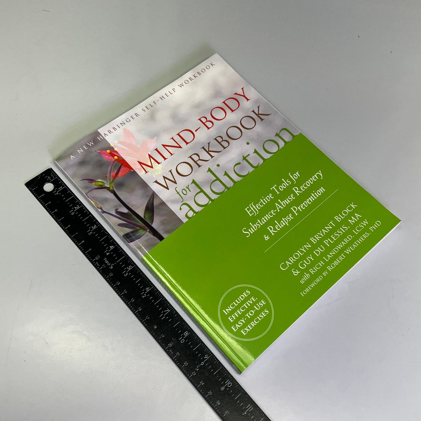 MIND-BODY WORKBOOK FOR ADDICTION Effective Tools Substance Abuse Recovery Book