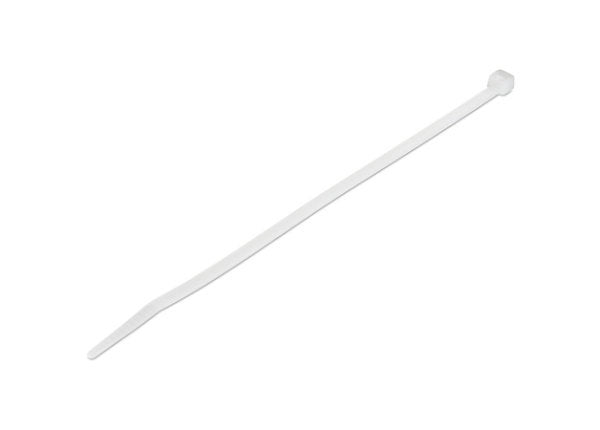 Serre-câbles en nylon StarTech 20 cm, lot de 100, blanc (CBMZT8N)