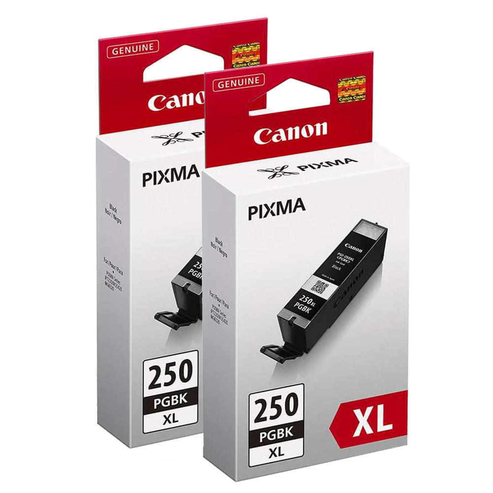 Pack de deux cartouches d'encre noire CANON PGI-250XL, 6432B004