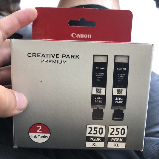 Pack de deux cartouches d'encre noire CANON PGI-250XL, 6432B004