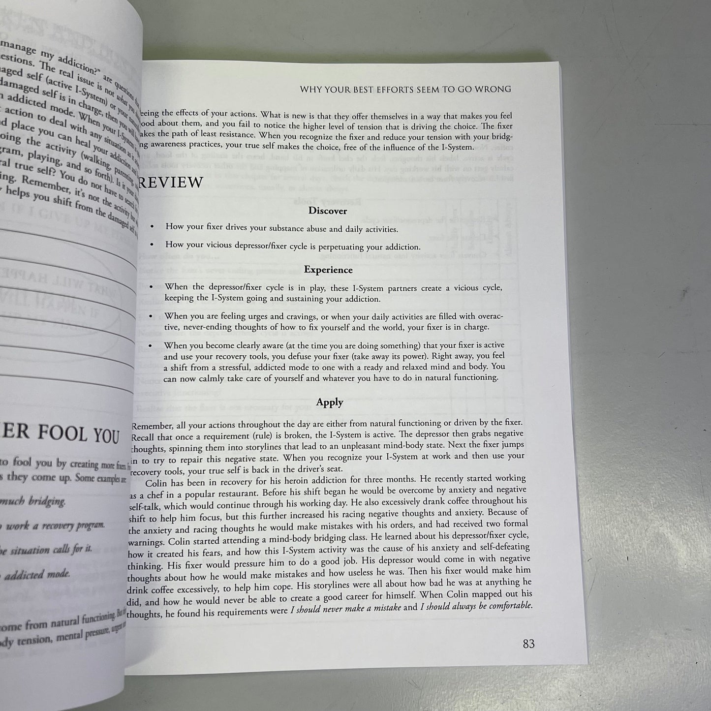 MIND-BODY WORKBOOK FOR ADDICTION Effective Tools Substance Abuse Recovery Book