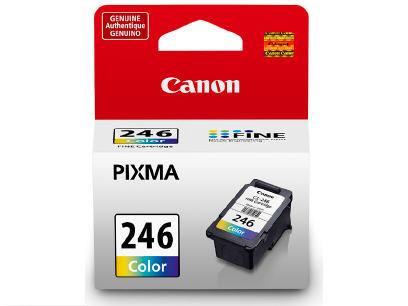 The CANON CL-246 Color Ink Cartridge is designed for PIXMA MG2420 printers, delivering consistent ink-jet color output. Manufactured in Japan and compliant with TAA standards, it ensures dependable quality for a range of printing needs. Ideal for users seeking reliable color printing performance in home or small office environments.