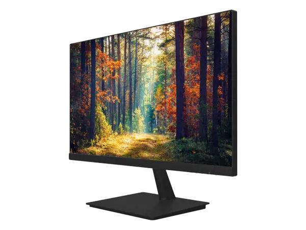 PLANAR PXN2480MW 24in monitor, black FHD IPS LED LCD, narrow bezel, VGA, HDMI, DP, speakers, DC power.