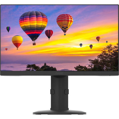 PLANAR PZN2410 24" FHD IPS Monitor with USB Hub & Adjustable Stand