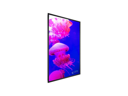 PLANAR URX75 75in display, UHD, D-LED backlight, 700 nit, HDR, 24x7, multi-source viewing, speakers, OPS slot, non-wireless, TAA