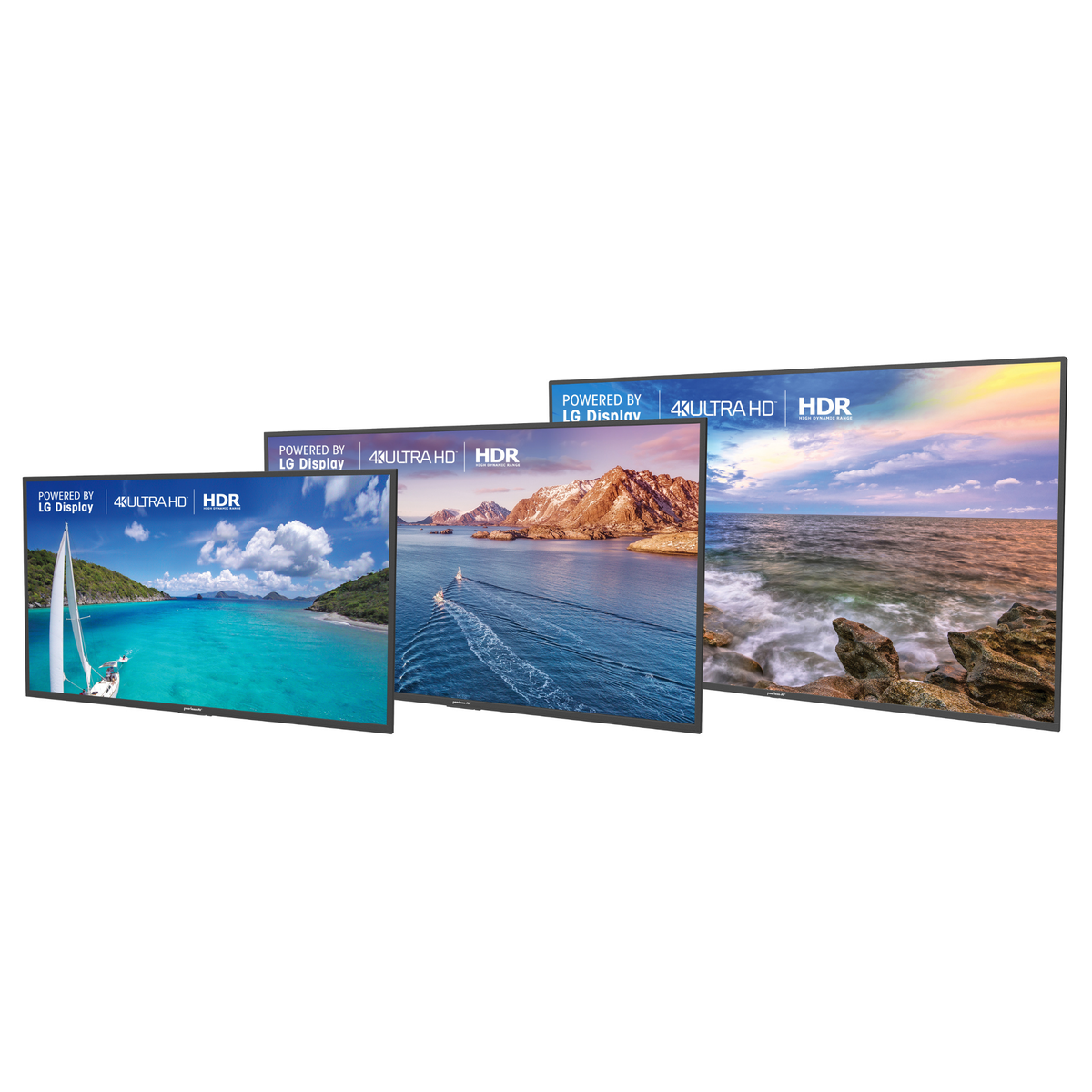 Télécommande d'apprentissage Peerless-AV pour l'extérieur, conforme à la TAA