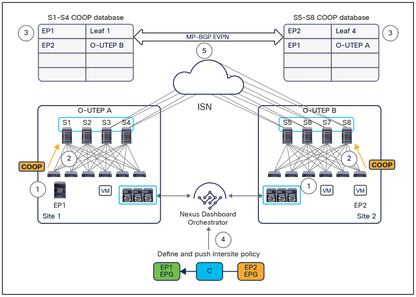 Appliance virtuelle multisite Cisco ACI