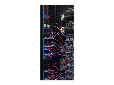 Kit de cordons d'alimentation verrouillables APC AP8714SX340 C19 vers C20 (lot de 6), 1,2 m, rouge