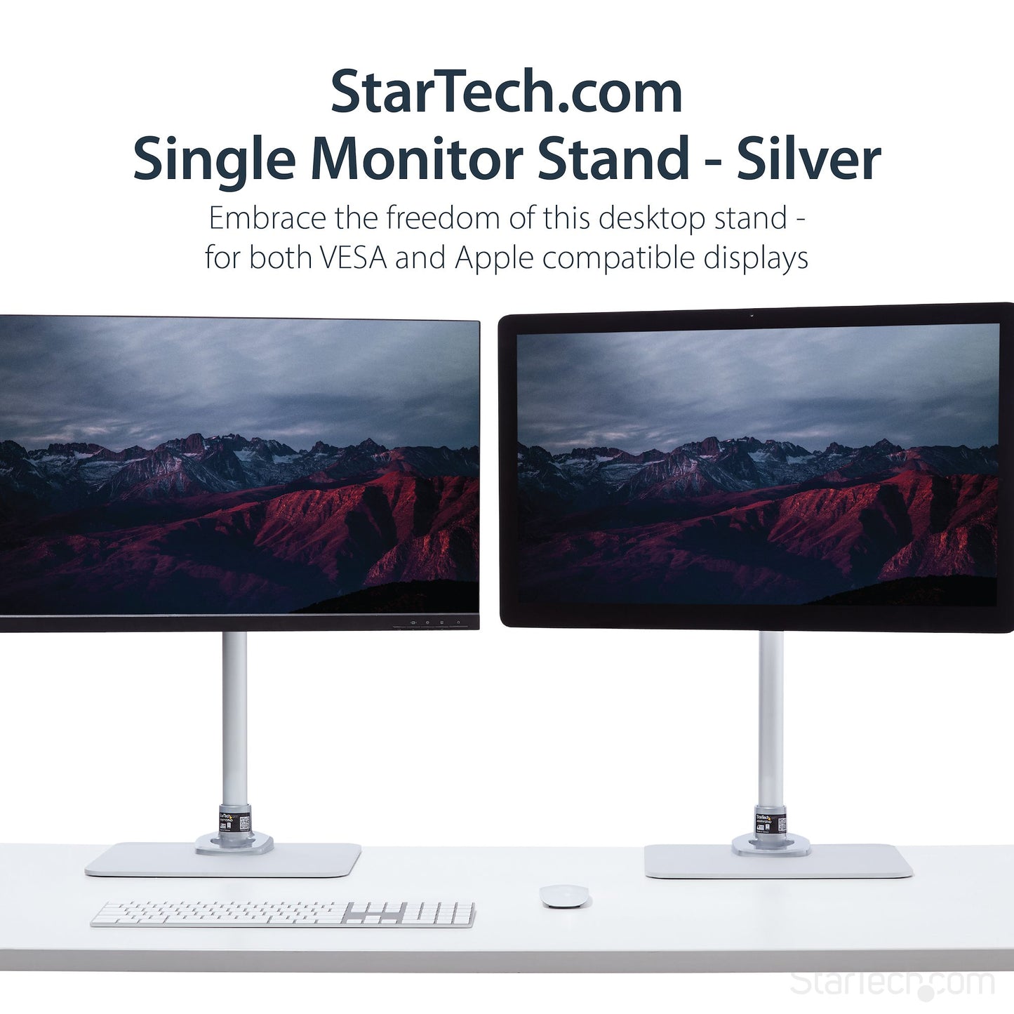 Support pour écran simple StarTech ARMPIVSTND, argent, compatible VESA
