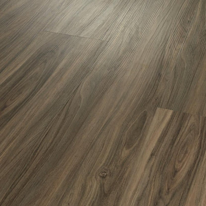 Rouleau d'étiquettes laminées transparentes robustes Brother 2 pouces, 12 mil, 50 pieds