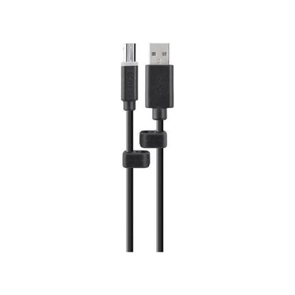 BELKIN TAA CAC USB A/B SKVM Cable, 6 ft, USB Type A to B