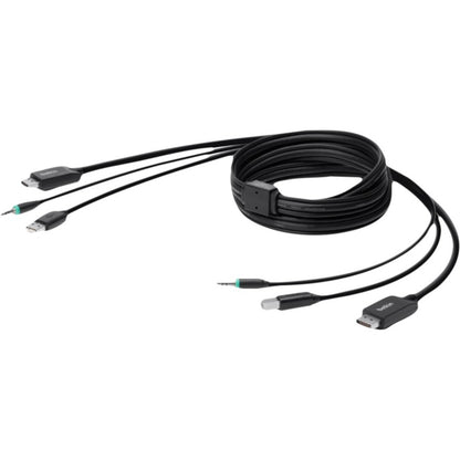Belkin TAA-Compliant SKVM Cable, DP/USB/Audio, 10ft (F1D9019B10T)