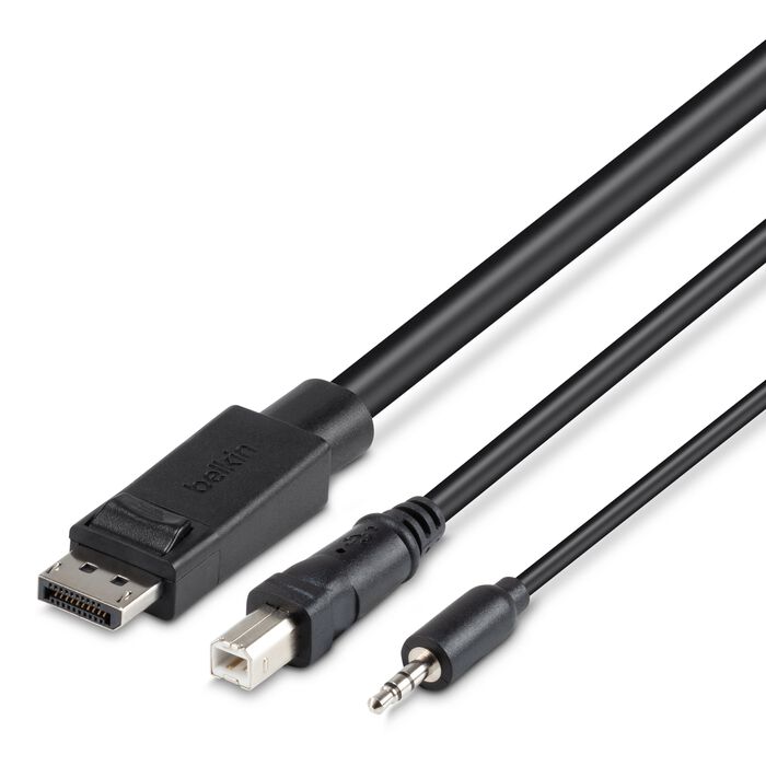 Belkin TAA-Compliant SKVM Cable, DP/USB/Audio, 10ft (F1D9019B10T)