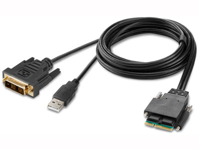 Belkin's Modular DVI Single Head Host Cable offers a secure, TAA-compliant solution tailored for KVM applications. Measuring 6 feet in length, it is an ideal accessory for structured installations where data integrity and reliability are critical. Made in the USA, it ensures compliance with federal procurement standards.