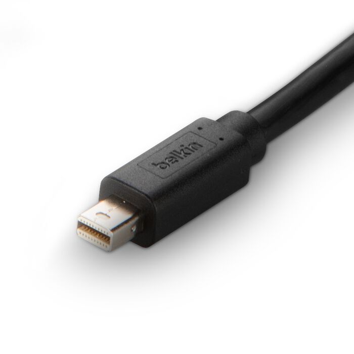 BELKIN TAA Mini DisplayPort to DisplayPort Cable, 10ft (F1DN1VCBL-MP10T)