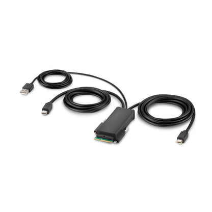Belkin TAA-Compliant Mini DisplayPort to DisplayPort Cable, 6ft