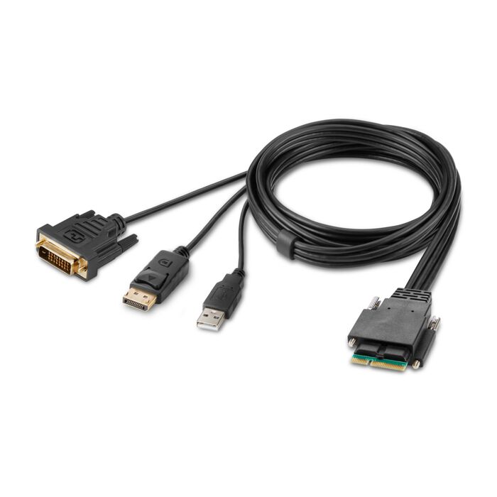 BELKIN MDLR Dual-Head DVI Modular Host Cable, 6 ft, Black