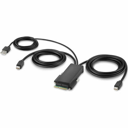 Belkin Modular Mini DP Dual Head Host Cable, 6 Ft