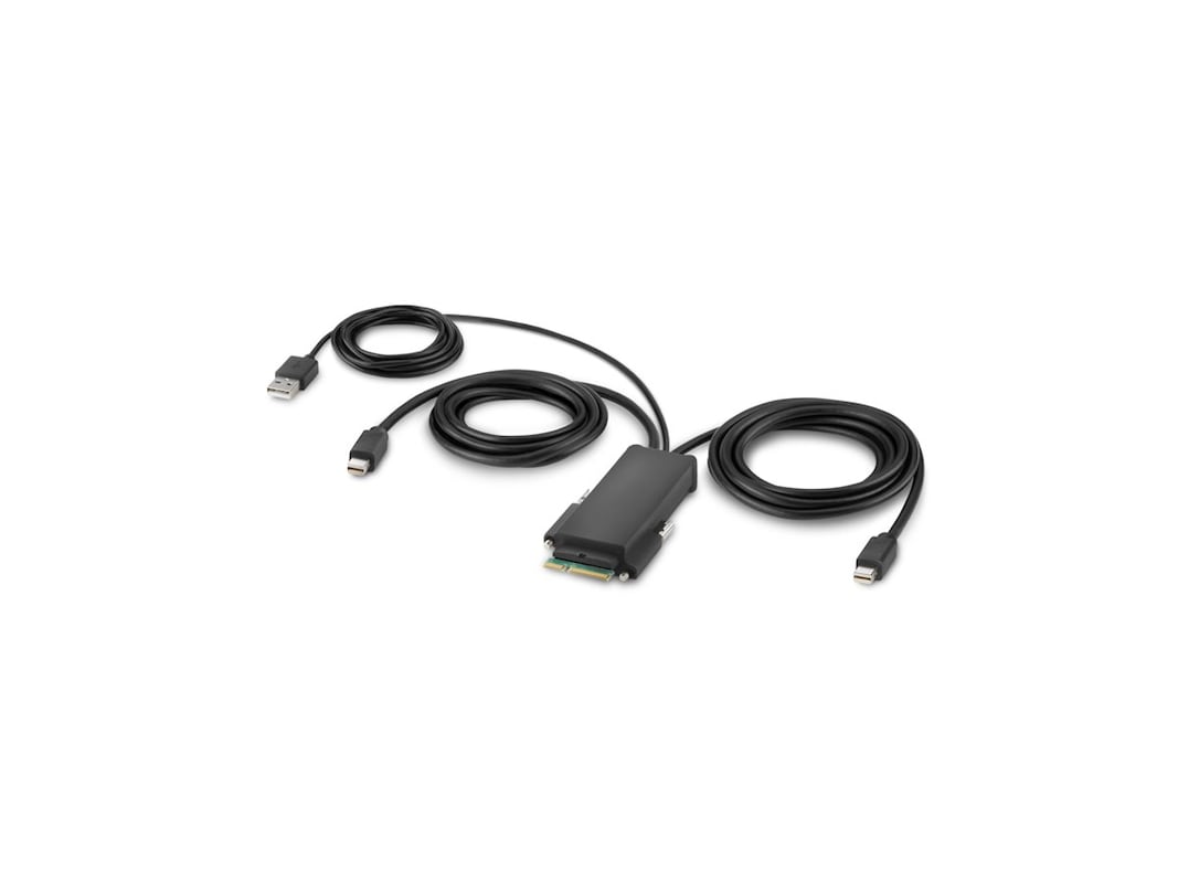 Belkin Modular Mini DP Dual Head Host Cable, 6 Ft