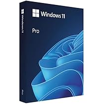 Clé USB Microsoft Win Pro FPP 11 64 bits en anglais