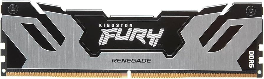Kingston 48 Go DDR5 6 000 MT/s CL32 Fury Renegade RGB XMP DIMM