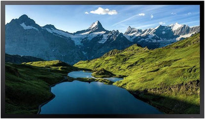 Écran LED SAMSUNG OH55A-S2 55 pouces, 1920 x 1080, 3 500 nits, 8 ms