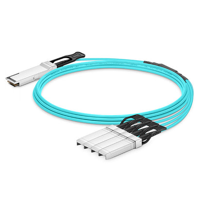 Adaptateur réseau EXTREME NETWORK QSFP+-SFP+ 10 GbE