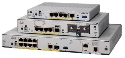 Cisco NPE Security for ISR 1100 4P Series with Smart Licensing