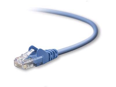 This Belkin Cat5e patch cable features a 5-foot length, unshielded twisted pair (UTP) construction, and snagless RJ45 male connectors on both ends for reliable Ethernet connectivity. The blue cable is TAA compliant and manufactured in the United States, making it ideal for government and commercial use. Its snagless design and proven performance make it an excellent choice for network patching and structured cabling systems.