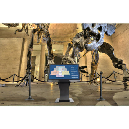 Peerless-AV KILH555 - Landscape Interactive Kiosk Frame for 55" Display